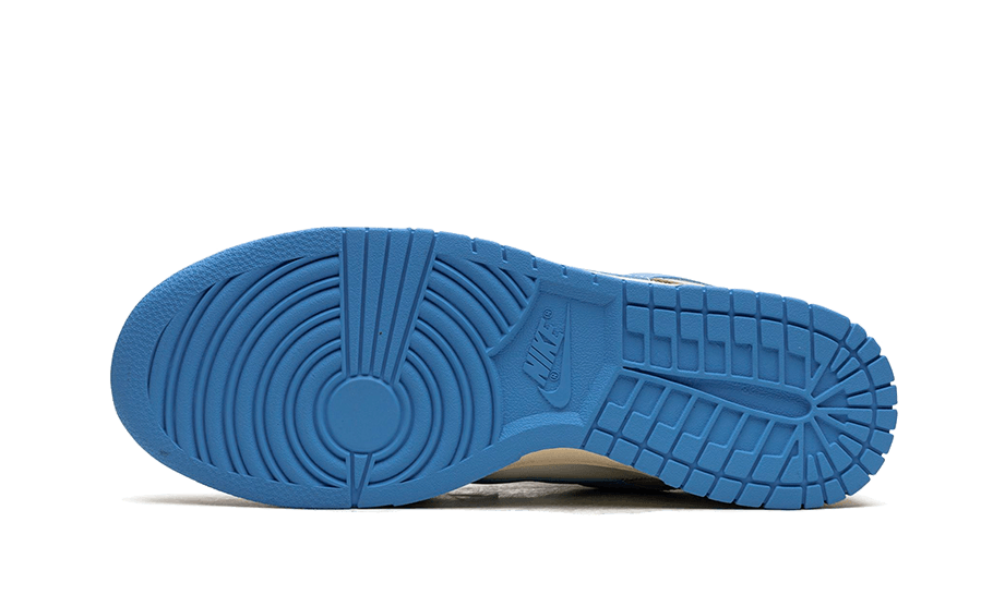 Nike Dunk Low Athletic Department University
