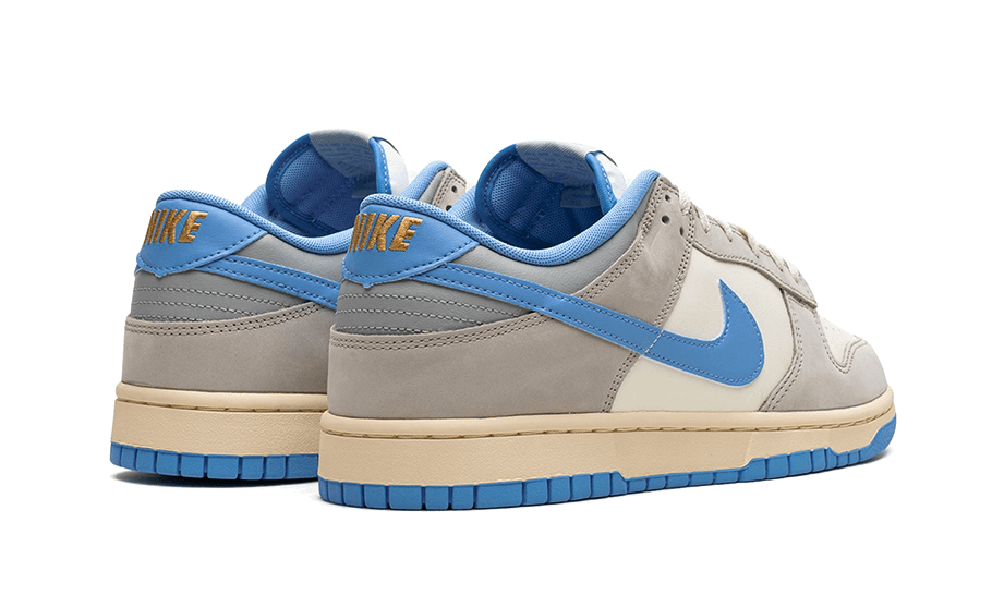 Nike Dunk Low Athletic Department University