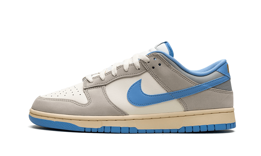 Nike Dunk Low Athletic Department University